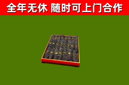 娄底回收海参